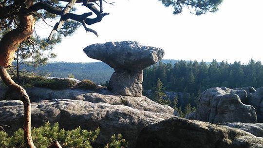 10 PRZYKAZAŃ GÓRSKIEGO TURYSTY