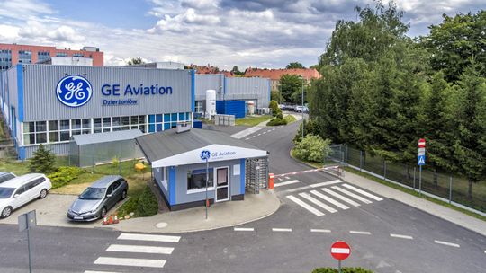 100 PIĘKNYCH DRZEW OD GE AVIATION DZIERŻONIÓW