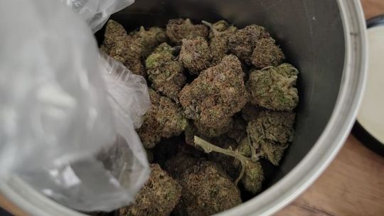 4-CMC, amfetaminę, haszysz i marihuanę w ilości blisko 4 kg zabezpieczyli kłodzcy policjanci 4-CMC, amfetaminę, haszysz i marihuanę w ilości blisko 4 kg zabezpieczyli kłodzcy policjanci