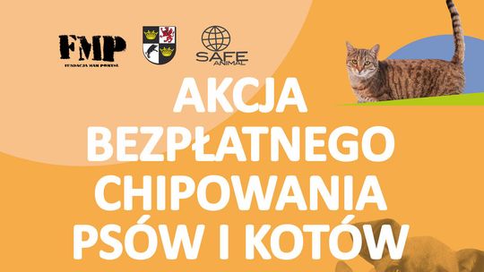 Akcja bezpłatnego czipowania psów i kotów w Świdnicy