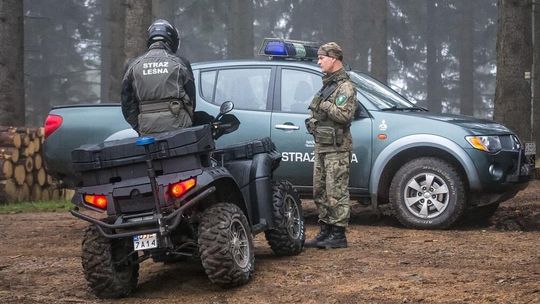 Bezpieczna jesień w polskich lasach. Straż Leśna rozpoczyna akcję „Jesień 26”
