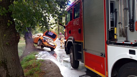 Bielawa, Oplem uderzył w drzewo