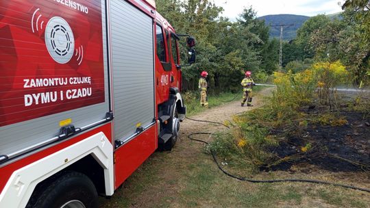 Bielawa, pożar na działkach