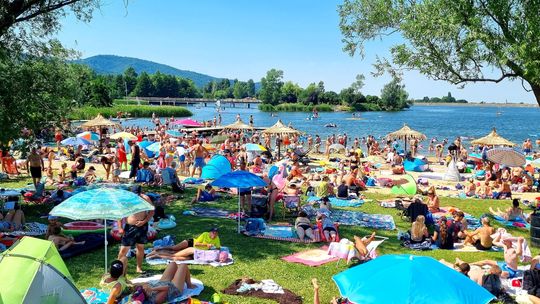 Brak sinic w Jeziorze Bielawskim