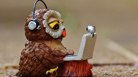 Chcesz pożyczyć pieniądze? Zrób to szybko przez internet