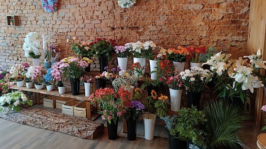 Coraz więcej punktów otwierane jest na Wyspie Piasek w Kłodzku