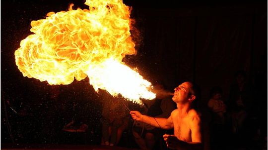 CYRK ARIZONA W BIELAWIE