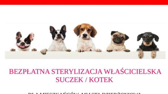 DARMOWA STERYLIZACJA SUCZEK I KOTEK