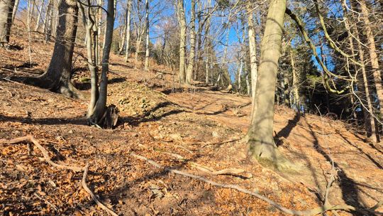 Dawne skocznie narciarskie w Górach Sowich