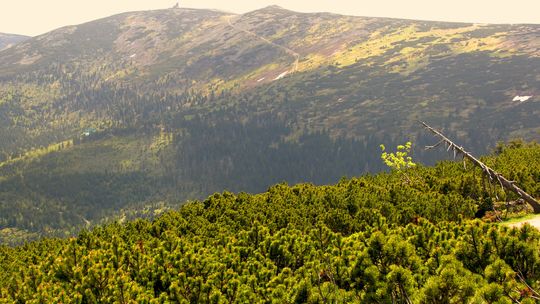 Dlaczego warto wybrać się w Sudety?