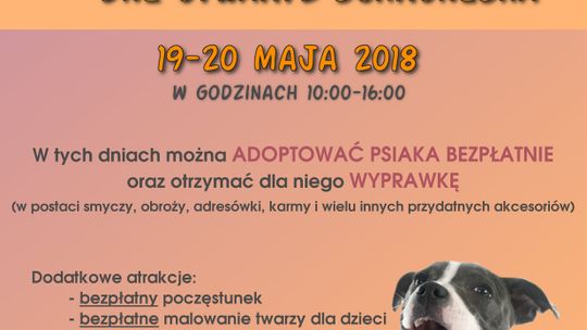 DNI OTWARTE DZIERŻONIOWSKIEGO SCHRONISKA