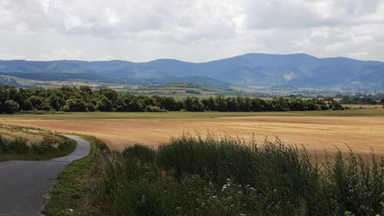 DOLNOŚLĄSKA ORGANIZACJA TURYSTYCZNA O TRASACH ROWEROWYCH W POWIECIE DZIERŻONIOWSKIM
