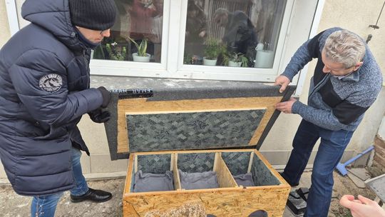 Domek dla kotów ma już pierwszych lokatorów