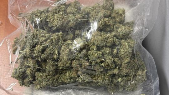 Dwie kontrole drogowe i ponad 2700 porcji narkotyków wyeliminowanych z obiegu Dwie kontrole drogowe i ponad 2700 porcji narkotyków wyeliminowanych z obiegu