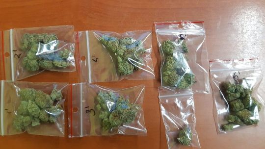 DWÓCH MĘŻCZYZN ODPOWIE ZA POSIADANIE NARKOTYKÓW