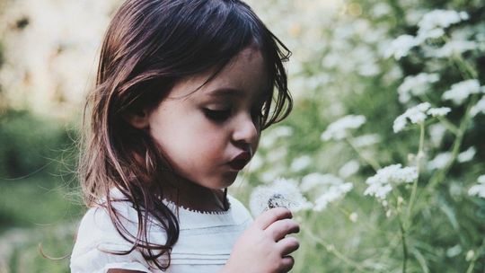 Dzieci z 474 przedszkoli z województwa dolnośląskiego nauczą się, jak dbać o środowisko naturalne