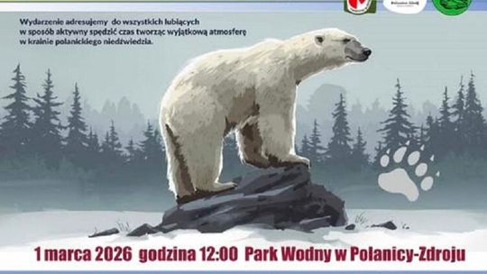 Dzień Niedźwiedzia Polarnego w Polanicy-Zdroju