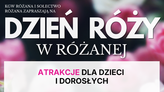 Dzień Róży w Różanej po raz trzeci - atrakcje, gra terenowa i nagradzana grochówka