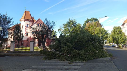 Dzierżoniów. Nocna nawałnica uderzyła w miasto