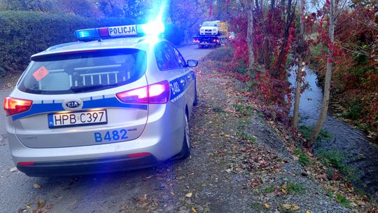 Dzierżoniów. Volvo zatrzymane na drzewie