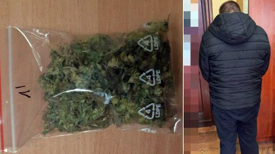 Dzierżoniowscy kryminalni zabezpieczyli ponad 90 porcji marihuany