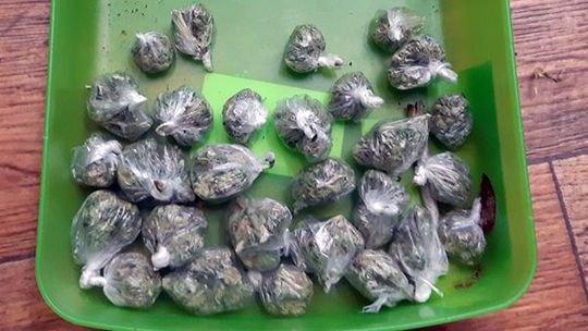 Dzierżoniowscy policjanci zabezpieczyli ponad 100 porcji marihuany