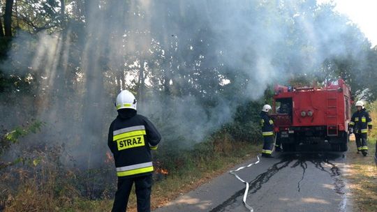DZIESIĘĆ ZASTĘPÓW GASIŁO POŻAR
