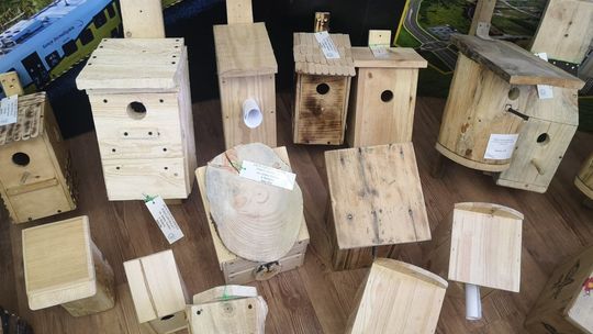 EKO BUDKI W BIELAWSKIM PARKU MIEJSKIM