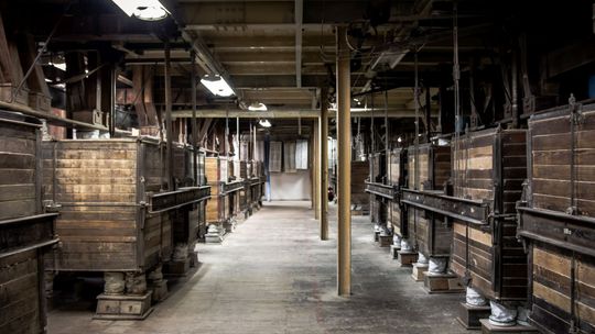 Festiwal „Autentyczne Historie” już w ten weekend