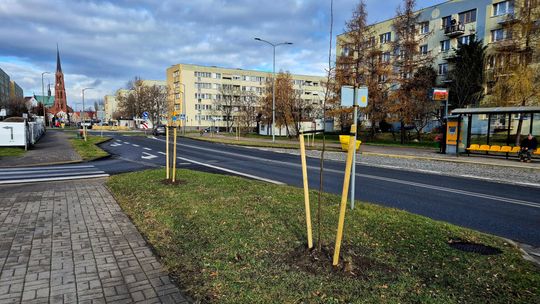 Gmina Bielawa nasadziła ponad 1.400 drzew i krzewów