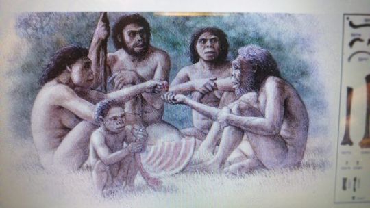 II NOC Z BIOLOGIĄ W BIELAWSKIM LO