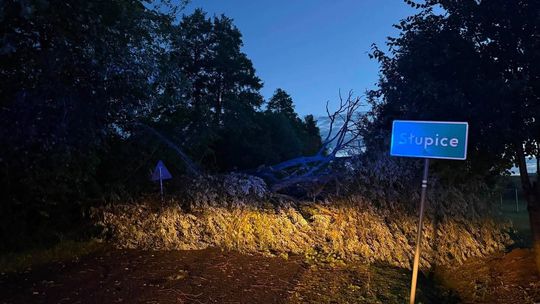 Interwencje strażaków po nawałnicy w powiecie dzierżoniowskim