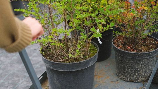 Jak radzić sobie z ciężkimi ładunkami o niestandardowym kształcie?