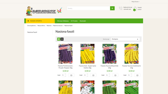 Jak sadzić fasolę z nasion?