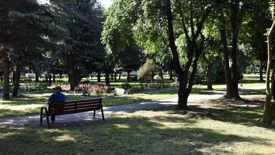 JAK ZMIENIA SIĘ PARK IM. JANUSZA KUSOCIŃSKIEGO W DZIERŻONIOWIE
