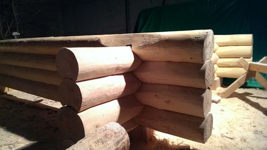 Jakie zalety ma dom z bali?