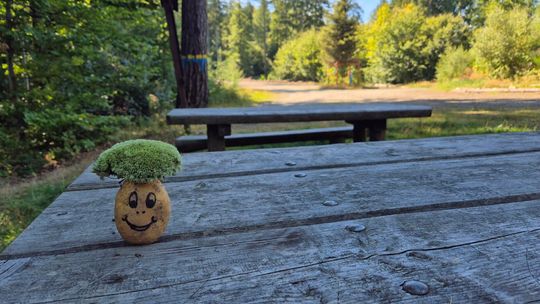 Już w niedzielę 25. Rajd Pieczonego Ziemniaka