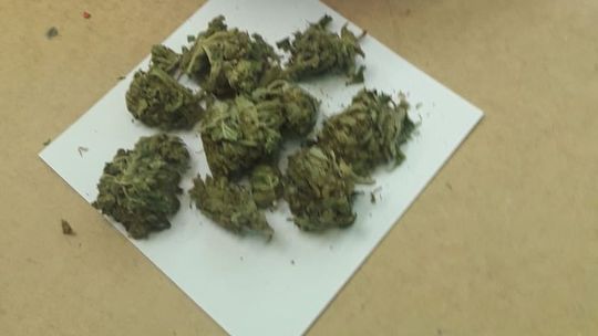 KOLEJNE NARKOTYKI ZABEZPIECZONE PRZEZ DZIERŻONIOWSKICH POLICJANTÓW