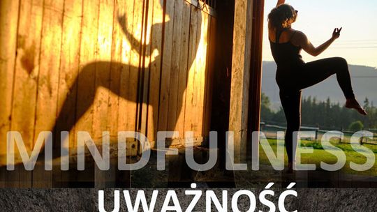 KOLEJNY PROJEKT NA WYSPIE KONI W OSTROSZOWICACH