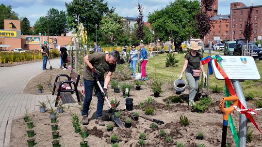 Kwitnący Dzierżoniów Kwitnący Dzierżoniów