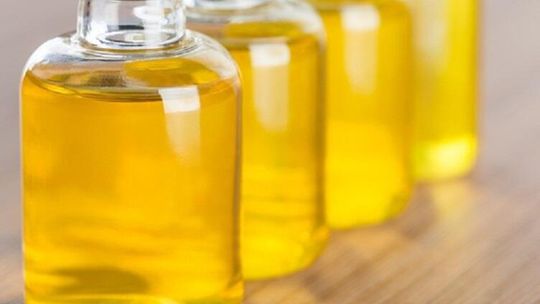 Łącznik między człowiekiem a konopią – kannabinoidy