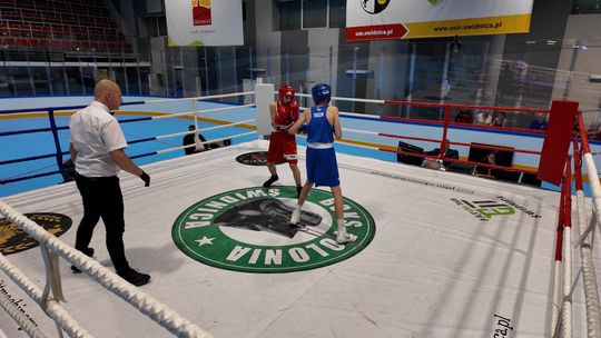 Mistrzostwa Polski w Boksie Młodziczek i Młodzików w Świdnicy