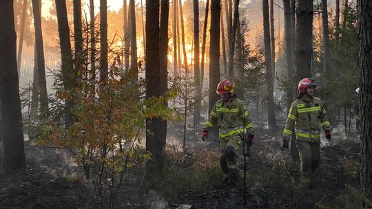 Mniej pożarów, ale nadal poważne zagrożenie – podsumowanie sezonu pożarowego 2025 w RDLP we Wrocławiu