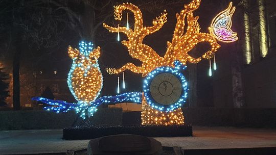 NA BIELAWSKIM RYNKU POJAWIŁA SIĘ KOLEJNA SOWA