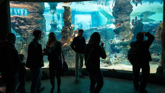 NAJLEPSZY PRODUKT TURYSTYCZNY DOLNEGO ŚLĄSKA 2018