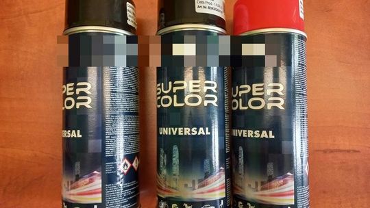 Nastolatek będzie musiał odpowiedzieć za propagowanie ustroju faszystowskiego i innych systemów totalitarnych