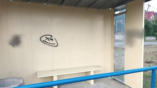 Nieletni nie są bezkarni. Kolejne skuteczne działania policjantów z Kamieńca Ząbkowickiego