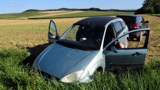 Nietrzeźwa wpadła do rowu