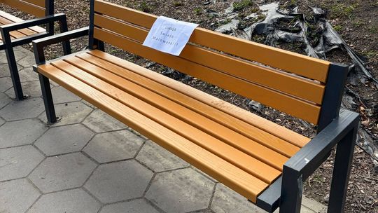 Od powalonego drzewa do ławki: Kłodzko oszczędza i odnawia