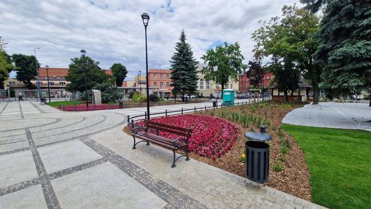 Odnowiony plac Grunwaldzki – miejsce spotkań z historią i naturą